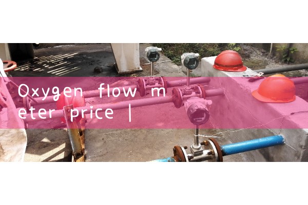 oxygen flow meter price|water flow meter